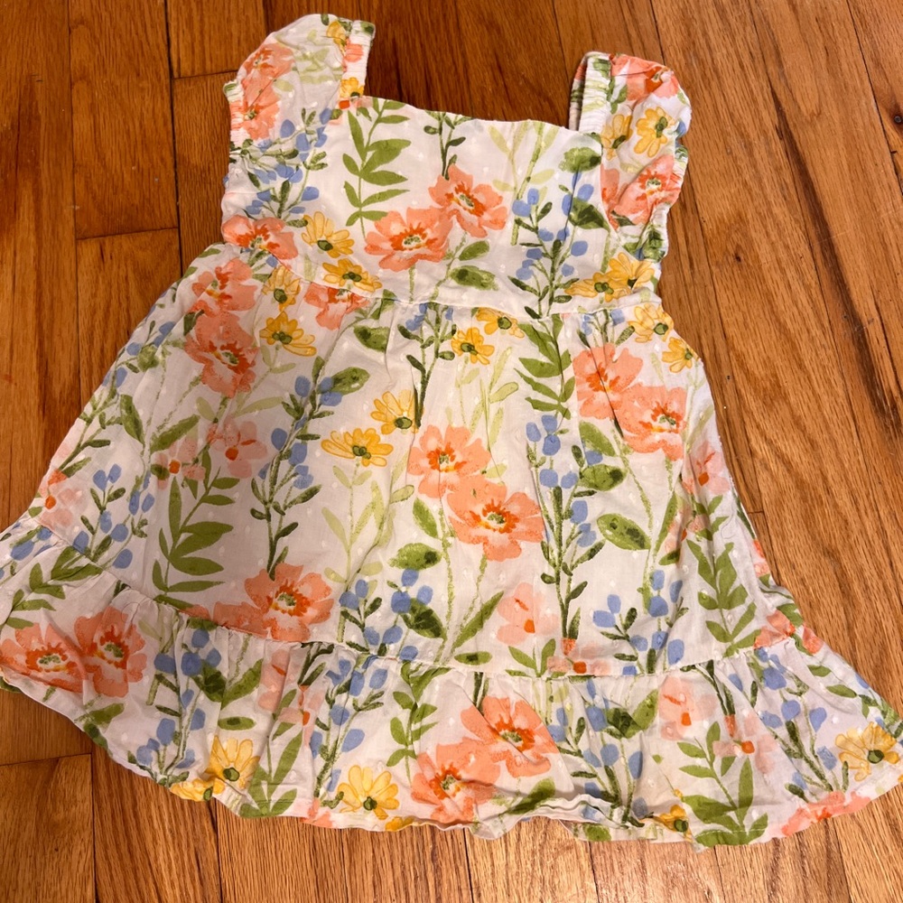 Gymboree Floral Dress with Ruffled Sleeves